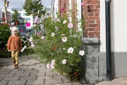 Enschede wordt Zo Groen | Groenblauw Enschede