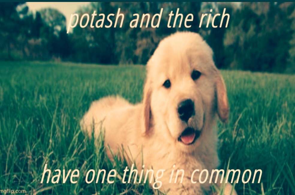 Picture of cute puppy captioned "potash and the rich have one thing in common"