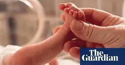 [Article] Microplastics in placentas linked to premature births, study suggests