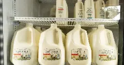 Cats in L.A. County die after drinking recalled raw milk