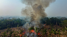 Nearly 3,000 fires in Brazilian Amazon in February, new record