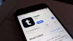 Tumblr is losing $30M each year, CEO says