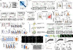 Mid-old cells are a potential target for anti-aging interventions in the elderly - Nature Communications