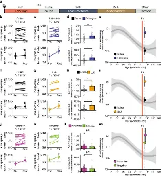 Psychedelics reopen the social reward learning critical period - Nature