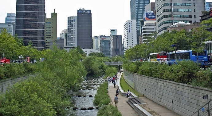 Traffic Evaporation: What Really Happens When Road Space is Reallocated from Cars?