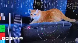 Nasa beams cat video from deep space with laser