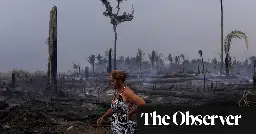 ‘Morally, nobody’s against it’: Brazil’s radical plan to tax global super-rich to tackle climate crisis