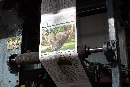 As Newfoundlanders say goodbye to a daily print paper, some worry culture will suffer