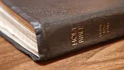 'Nontheistic' nonprofit calls for Bible ban in Leon schools, citing Moms for Liberty efforts