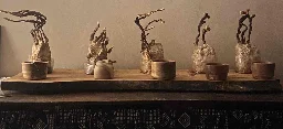 Reishi Bonsai Bowls