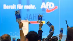 AfD hält an Kandidaten für Europawahl fest