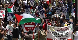 In an Historic Show of Labor Solidarity with Palestine, UAW Local 4811's Stand-up Strike Grows by 12,000