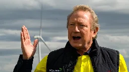 Andrew Forrest calls for fossil fuel bosses' 'heads on spikes' in extraordinary outburst