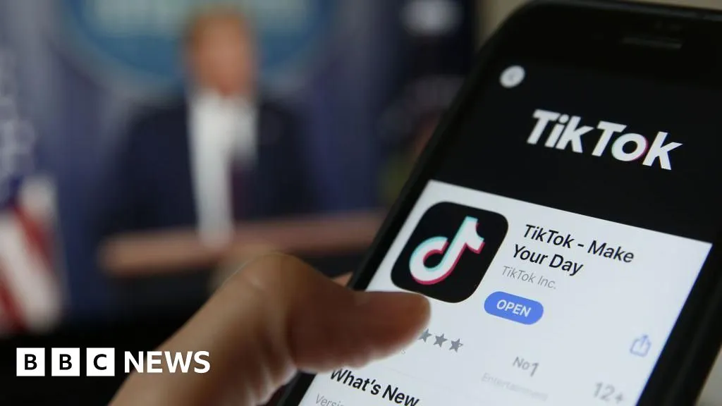 TikTok ban likely to spread to US allies - including UK