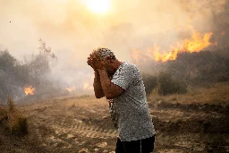 Extraordinary photos of July's extreme weather - BBC News