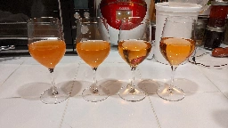 Zero Aged Filtered Strawberry Mead