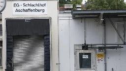 Aschaffenburg: Entsetzen und Wut über Tierquälereien im Schlachthof