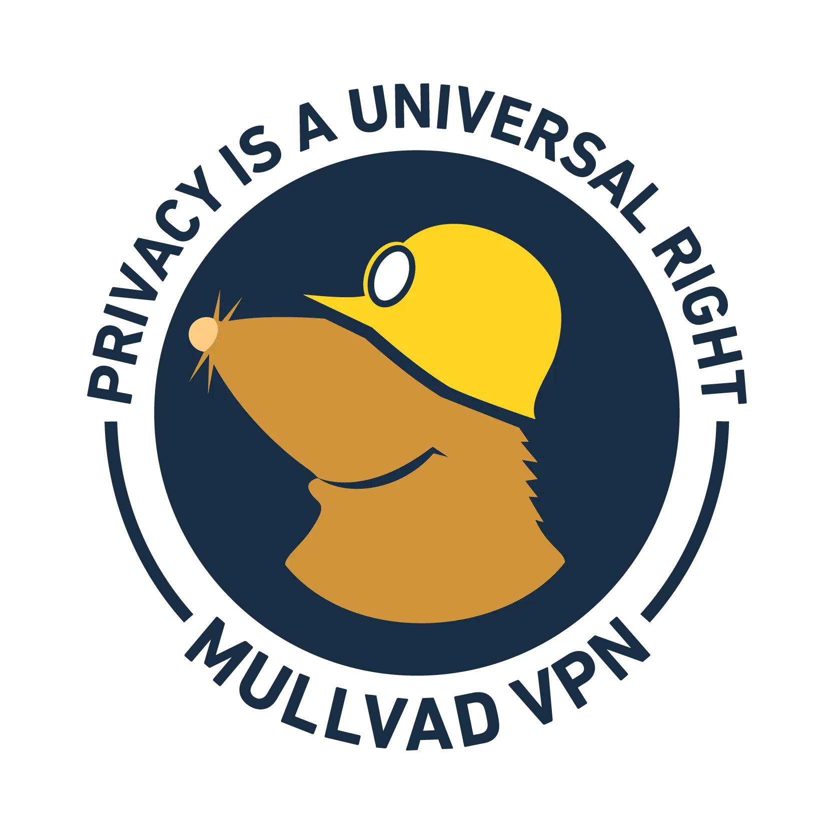 Infrastructure audit completed by Radically Open Security - Blog | Mullvad VPN