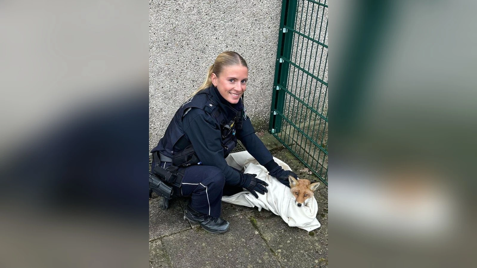 Herne: Polizei rettet verängstigten Fuchs auf belebter Kreuzung