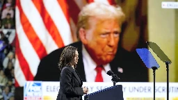 Trump emphasizes hypermasculinity as he and Harris pursue male voters