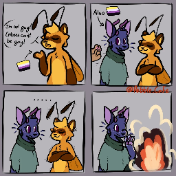 gay enby rule