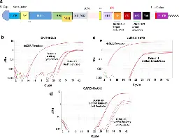 Duration of SARS-CoV-2 mRNA vaccine persistence and factors associated with cardiac involvement in recently vaccinated patients - npj Vaccines