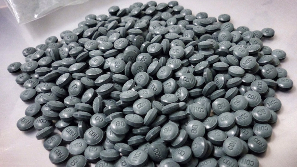 Regina police highlight lethality of fentanyl following 9 kilogram seizure