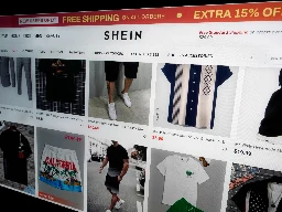 China’s Shein hit with RICO, a law used for organised crime
