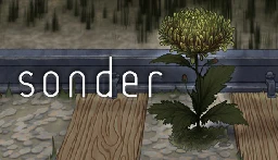 Sonder on Steam