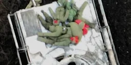 Photos show remains of Russian IFV carrying dummy soldiers, revealing new deception tactics used
