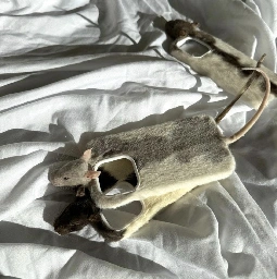 Rat phone case