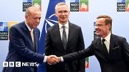 Turkey backs Sweden's Nato membership - Stoltenberg