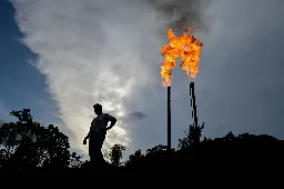 Ecuadorians Vote to Reject Oil Drilling in Precious Amazon Region