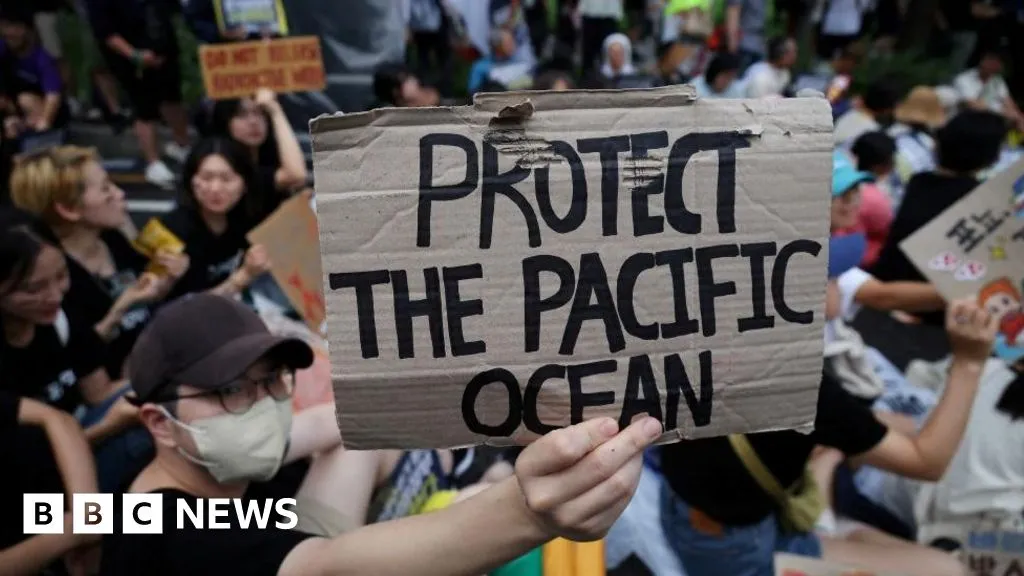 Fukushima nuclear disaster: Activists march against Tokyo's waste plan