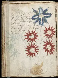 Voynich manuscript - illustrated manuscript written in an unknown language