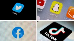 Young voters blame social media for divisions in US: Survey