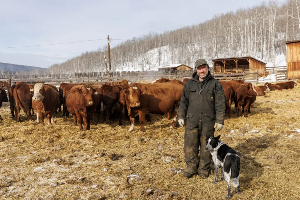 B.C. ranchers say fracking-induced earthquakes hurt cattle | The Narwhal