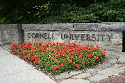 Cornell University student faces deportation over Palestine activism