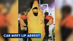 Man who allegedly damaged a police vehicle while wearing a banana costume arrested