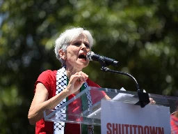 US candidate Jill Stein considering vocal Palestine advocates for VP spot