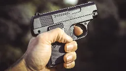 Schuss aus Dienstwaffe bei FCA-Spiel: Polizist suspendiert