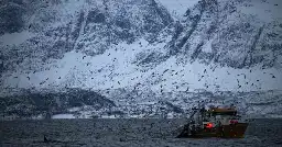 Russian warship fired warning shot at Norwegian fishing boat