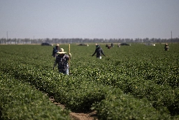 As extreme heat rises, Newsom blocks bill to protect California farmworkers