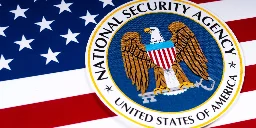 NSA director appointment blocked over data privacy questions