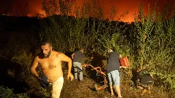 Wildfires burn 6% of Canary Islands, with blazes in Greece, Italy too