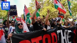 Thousands gather at pro-Palestine marches around the country