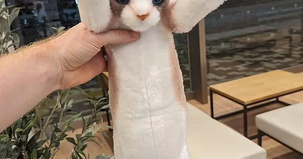 Longcat plush