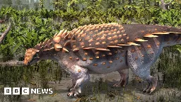 Isle of Wight: New dinosaur species discovered