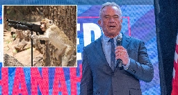 RFK Jr. Reminds Voters He Also Keeps a Monkey With a Handgun on His Nightstand For Self Defense If They Wanna Hear About That