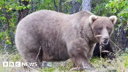 Fat Bear Week: Mama bear beats rival who killed her cub to become winner